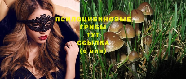 2c-b Алексин